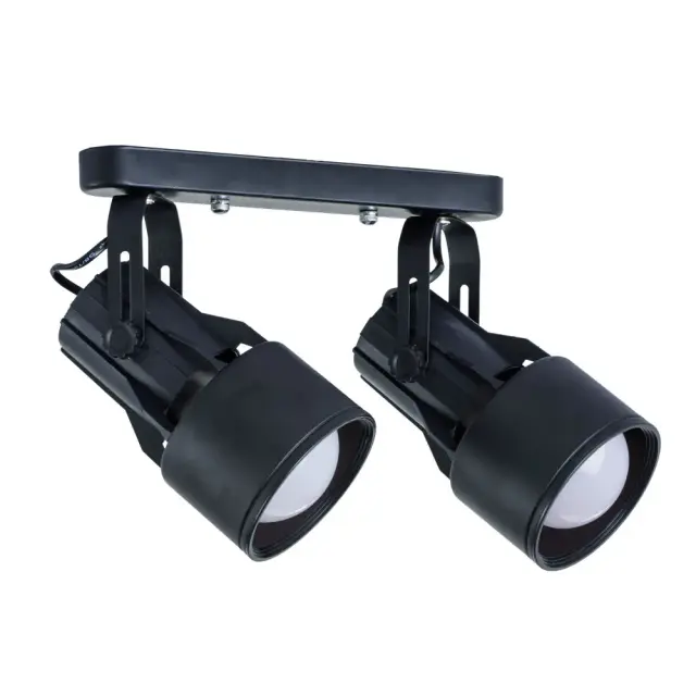 Спот Arte Lamp A6252PL-2BK LYRA — черный