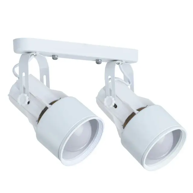 Спот Arte Lamp A6252PL-2WH LYRA — белый