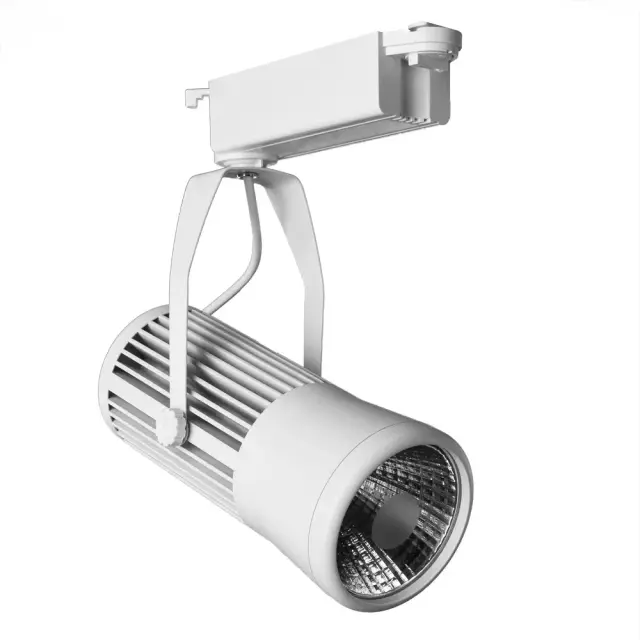 Светильник для однофазного трека Arte Lamp A6330PL-1WH RICORDO — белый