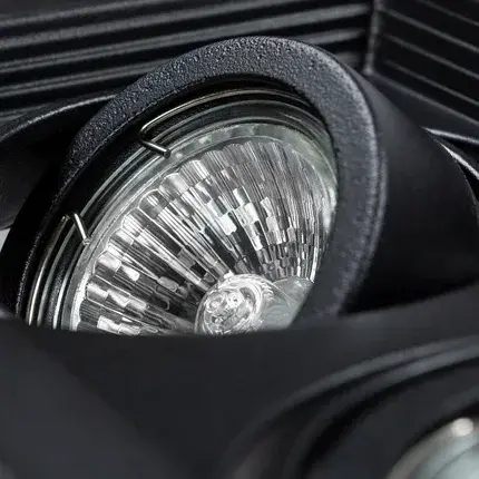 Точечный светильник Arte Lamp A6661PL-2BK CANIS — черный, ракурс 4