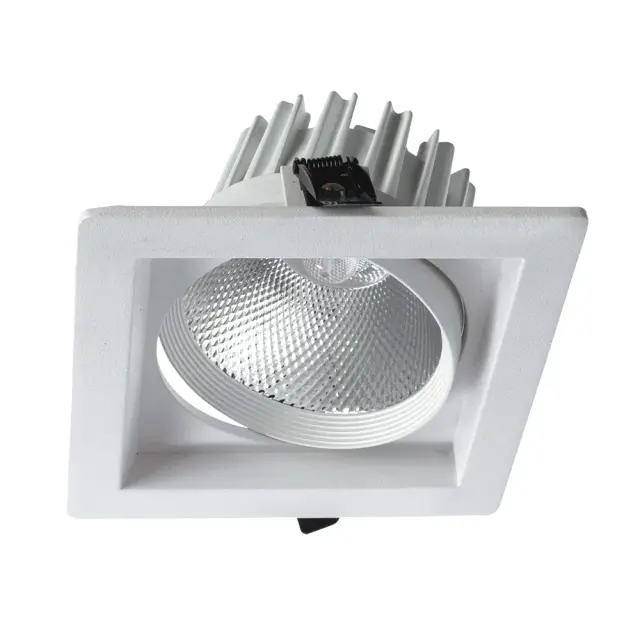 Точечный светильник Arte Lamp A7018PL-1WH PRIVATO — белый