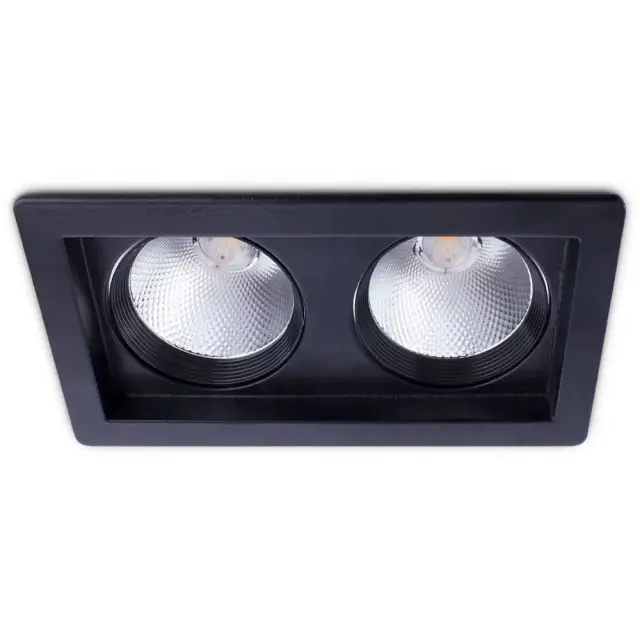 Точечный светильник Arte Lamp A7018PL-2BK PRIVATO — черный