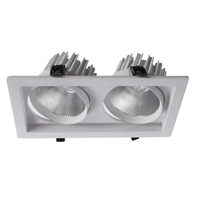 Точечный светильник Arte Lamp A7018PL-2WH PRIVATO — белый