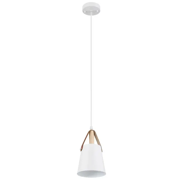 Светильник Arte Lamp A7032SP-1WH THOMAS — белый