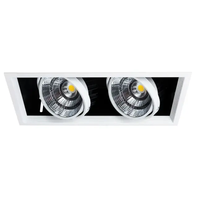 Точечный светильник Arte Lamp A8450PL-2WH MERGA — белый