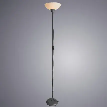Торшер Arte Lamp A9569PN-1SI DUETTO — серебряный, ракурс 2