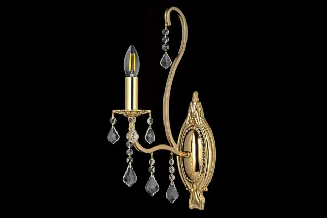 Бра Arti Lampadari Ercolano E 2.1.1.602 G — золотой, ракурс 4