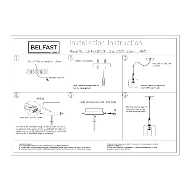 Светильник Belfast 6214-1 BR CA PANSY — латунь, ракурс 5