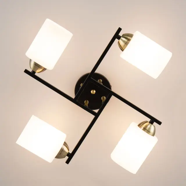Люстра Citilux CL130245 ГЕНРИ — черный, ракурс 10