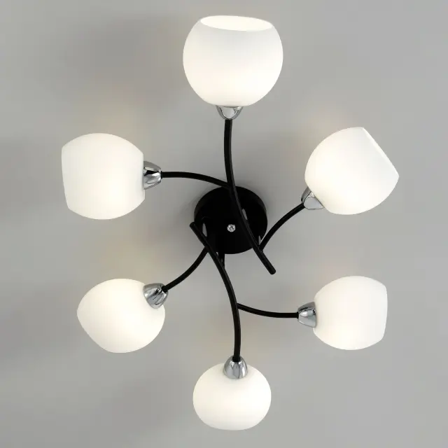 Люстра Citilux CL148165 ФЛОРИДА — черный, ракурс 11