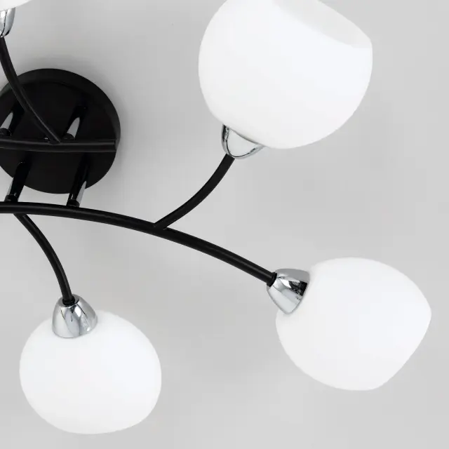Люстра Citilux CL148165 ФЛОРИДА — черный, ракурс 13