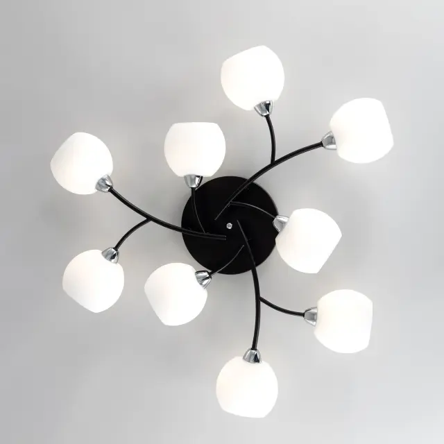 Люстра Citilux CL148195 ФЛОРИДА — черный, ракурс 12