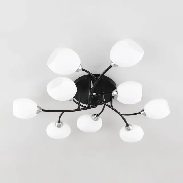 Люстра Citilux CL148195 ФЛОРИДА — черный, ракурс 13