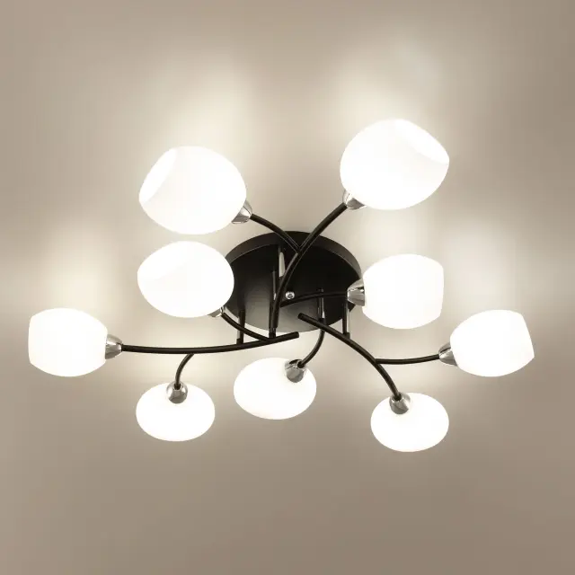Люстра Citilux CL148195 ФЛОРИДА — черный, ракурс 14