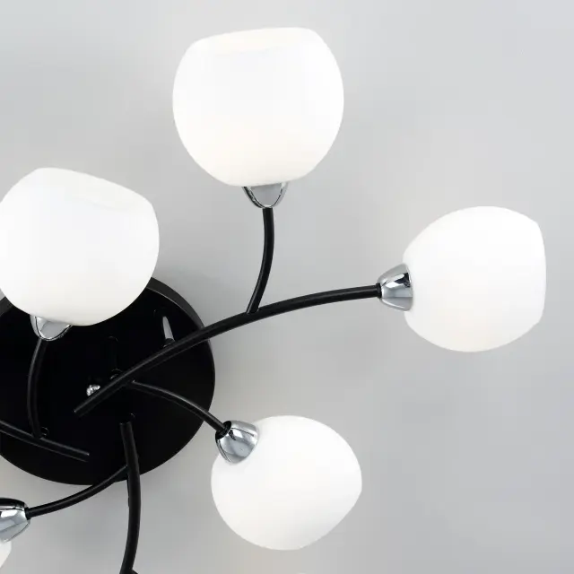 Люстра Citilux CL148195 ФЛОРИДА — черный, ракурс 15