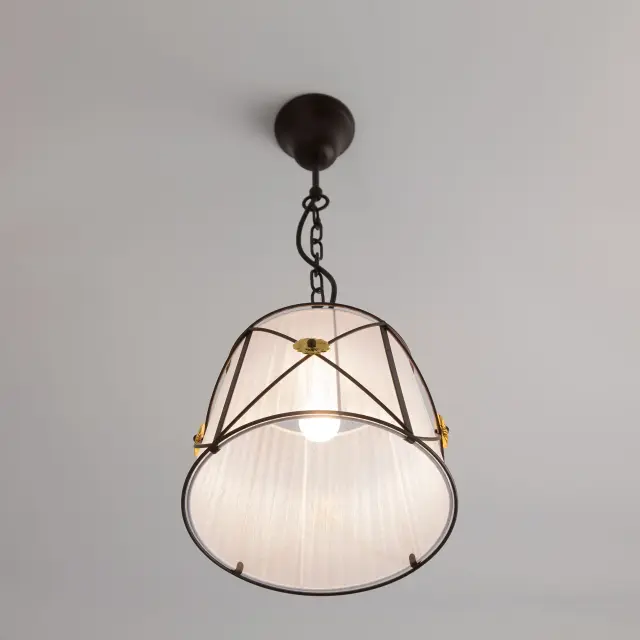 Светильник Citilux CL409212 ДРЕЗДЕН — коричневый, ракурс 4