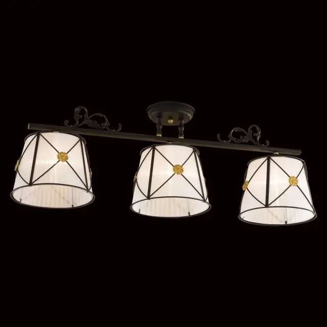 Светильник Citilux CL409232 ДРЕЗДЕН — черный, ракурс 2