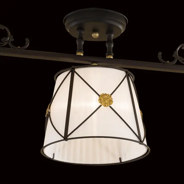 Светильник Citilux CL409232 ДРЕЗДЕН — черный, ракурс 4