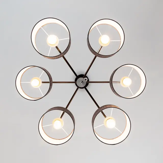 Люстра Citilux CL428261 ФОРМА — коричневый, ракурс 6