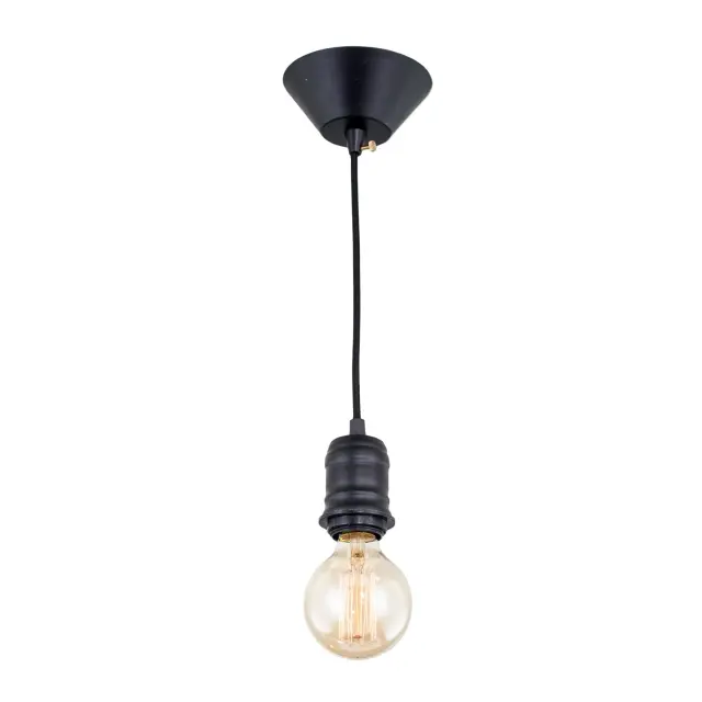 Светильник Citilux CL450200 ЭДИСОН — черный