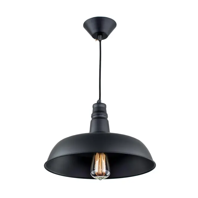 Светильник Citilux CL450204 ЭДИСОН — черный