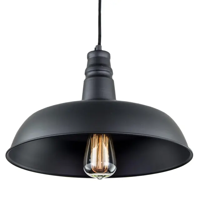 Светильник Citilux CL450204 ЭДИСОН — черный, ракурс 2