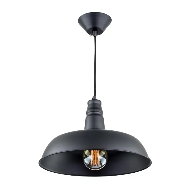 Светильник Citilux CL450204 ЭДИСОН — черный, ракурс 3