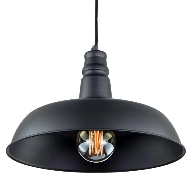 Светильник Citilux CL450204 ЭДИСОН — черный, ракурс 4