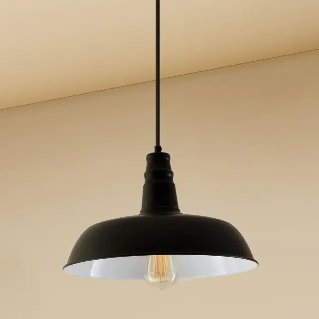 Светильник Citilux CL450205 ЭДИСОН — черный