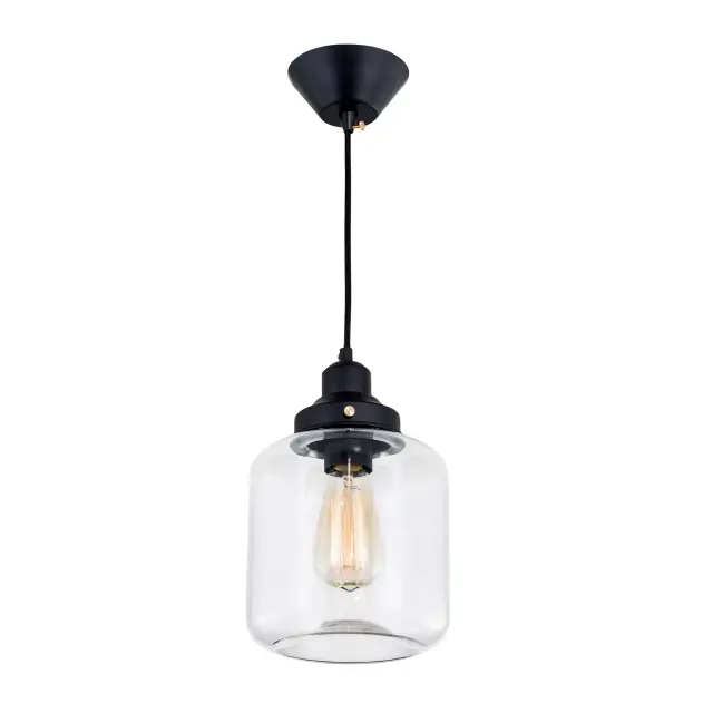 Светильник Citilux CL450206 ЭДИСОН — черный