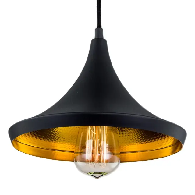 Светильник Citilux CL450209 ЭДИСОН — черный, ракурс 2