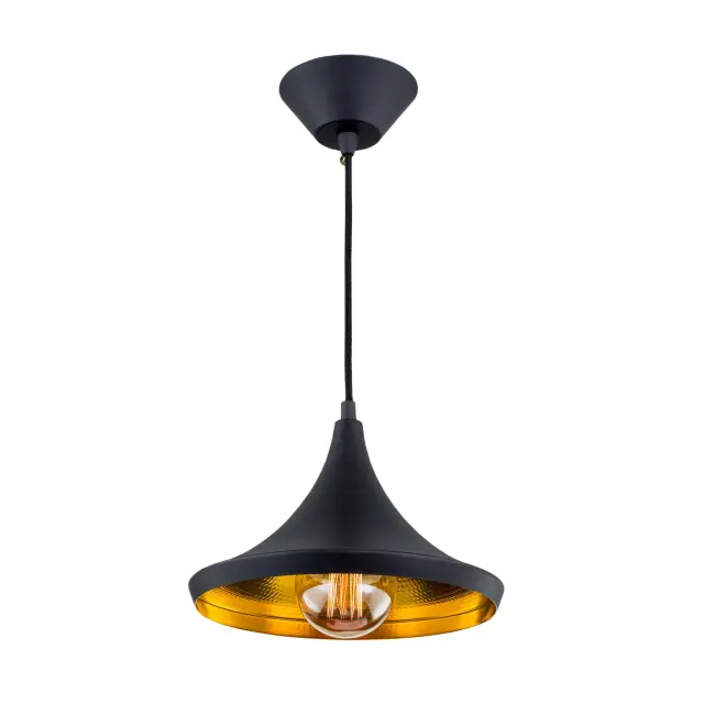 Светильник Citilux CL450209 ЭДИСОН — черный, ракурс 3