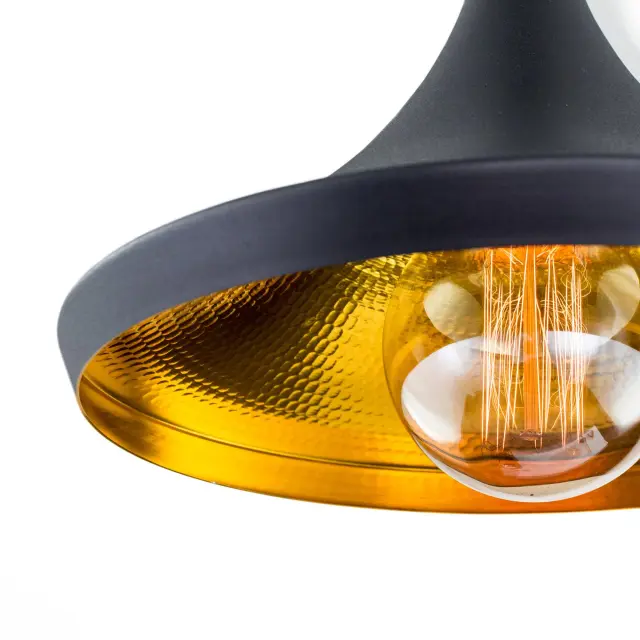 Светильник Citilux CL450209 ЭДИСОН — черный, ракурс 5