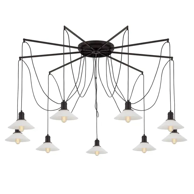 Светильник Citilux CL451292 ЭДИСОН — черный, ракурс 13