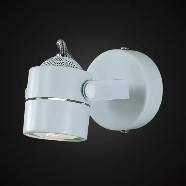 Спот Citilux CL525510 РИНГ — белый, ракурс 2