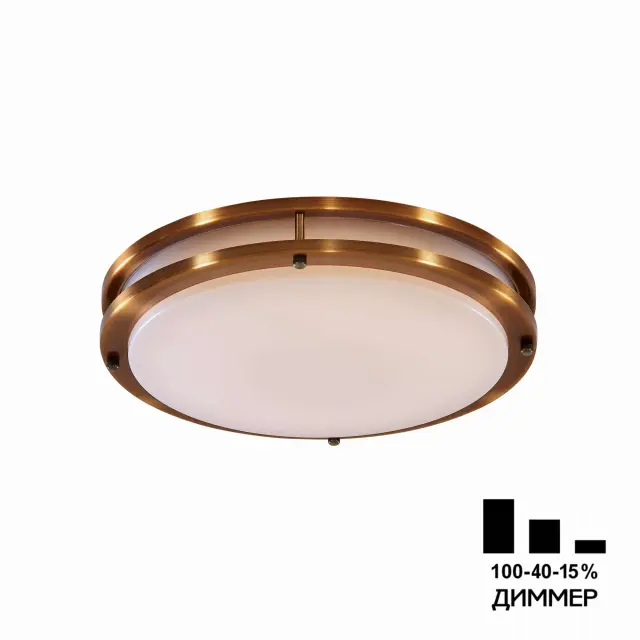 Светильник для ванной комнаты Citilux CL709323N БОСТОН — бронза