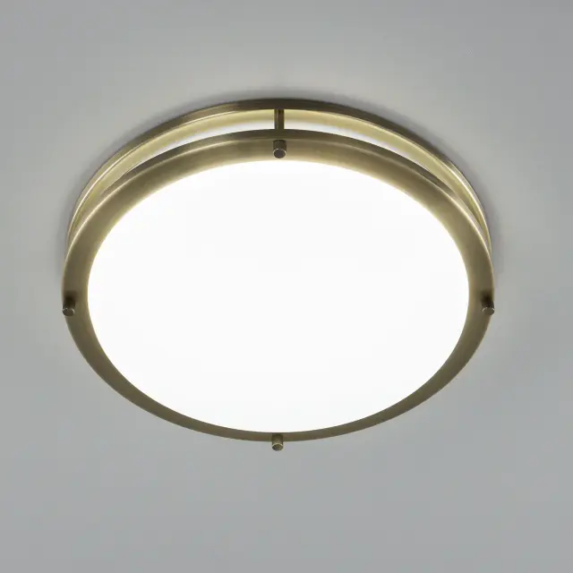 Светильник для ванной комнаты Citilux CL709323N БОСТОН — бронза, ракурс 9