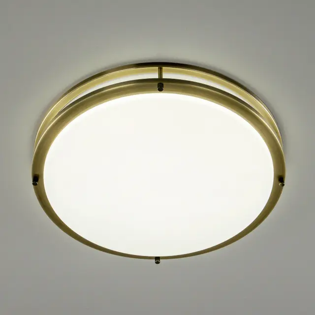 Светильник для ванной комнаты Citilux CL709503N БОСТОН — бронза, ракурс 4