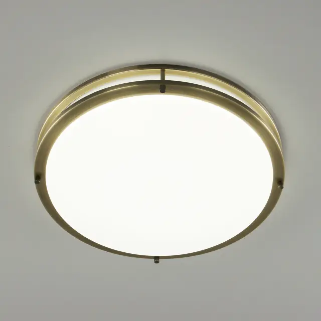 Светильник для ванной комнаты Citilux CL709503N БОСТОН — бронза, ракурс 8