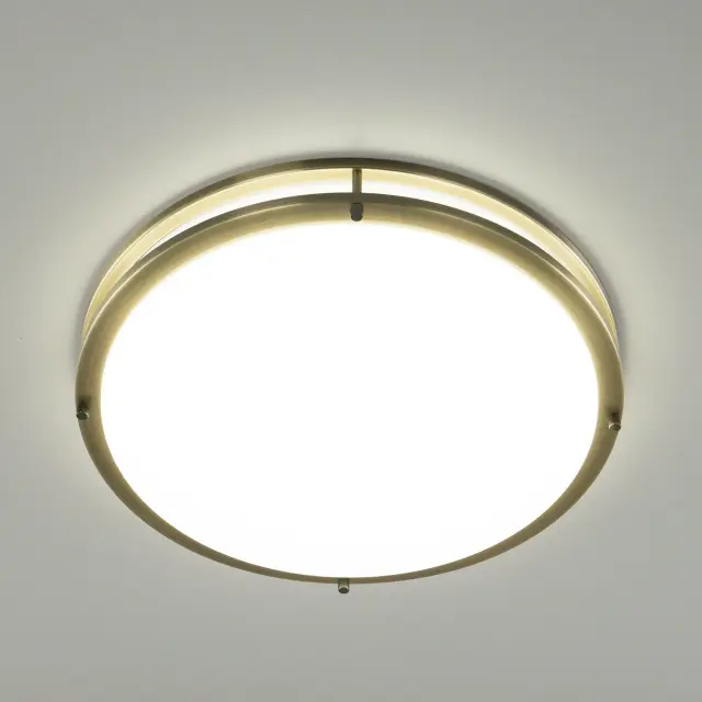 Светильник для ванной комнаты Citilux CL709503N БОСТОН — бронза, ракурс 9