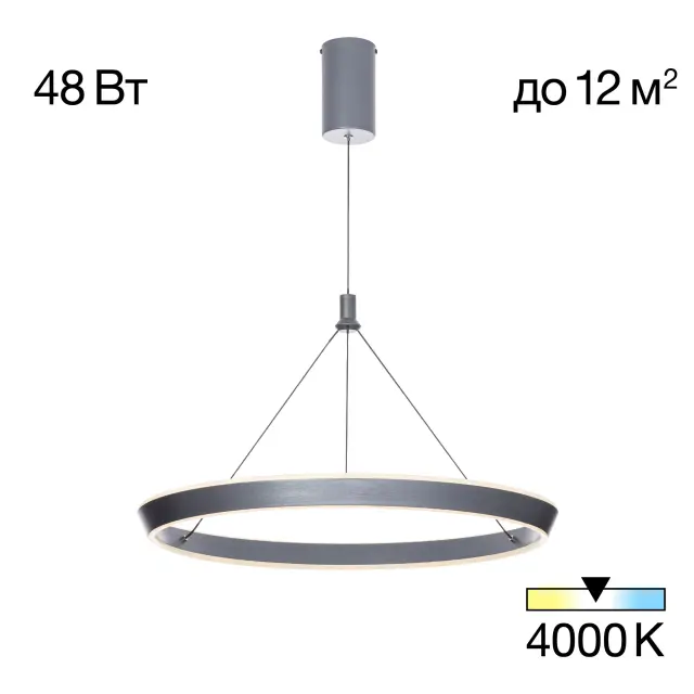 Светильник Citilux CL717012 TAVI — черный