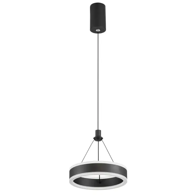 Светильник Citilux CL719011 ДУЭТ — черный, ракурс 3