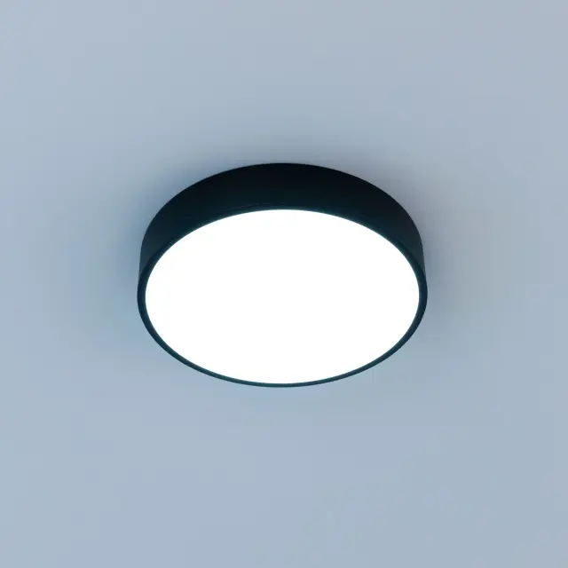 Светильник Citilux CL72424V1 КУПЕР — черный, ракурс 5