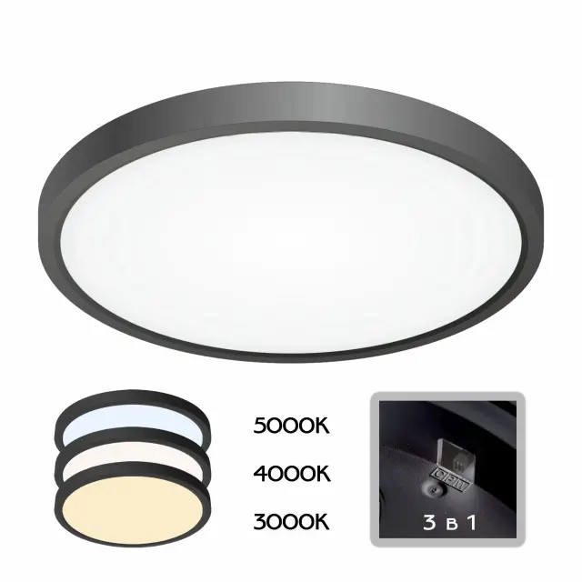Светильник Citilux CL738241V БЕЙСИК — черный