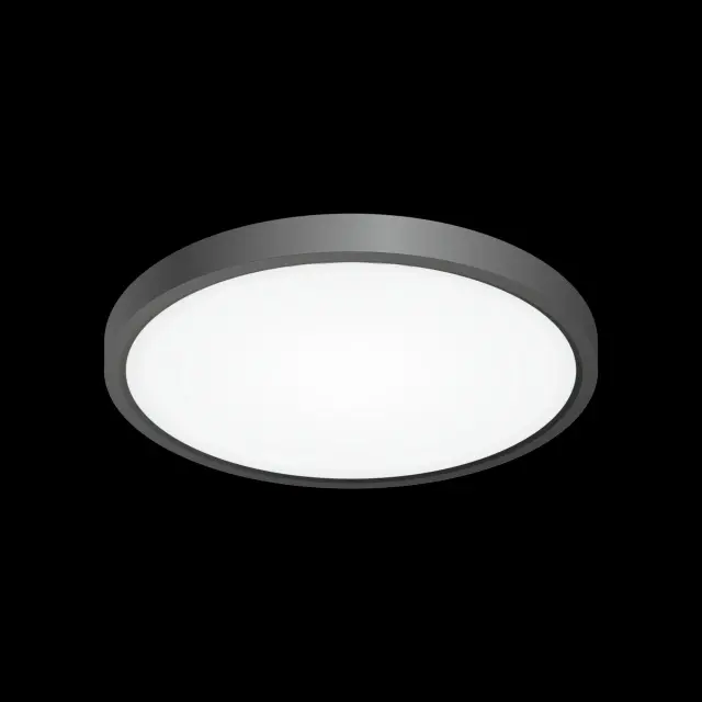 Светильник Citilux CL738241V БЕЙСИК — черный, ракурс 3