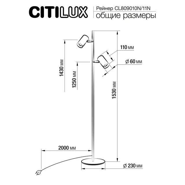 Торшер Citilux CL809011N TWIN — черный, ракурс 10