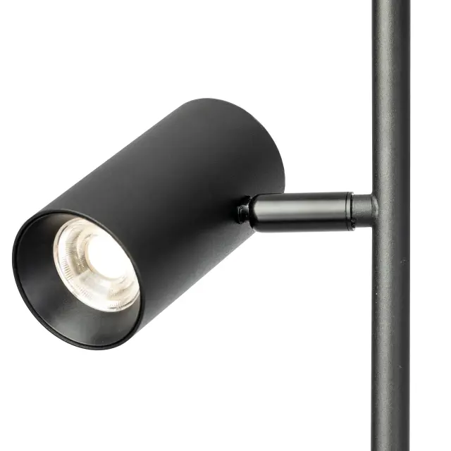 Торшер Citilux CL809011N TWIN — черный, ракурс 6