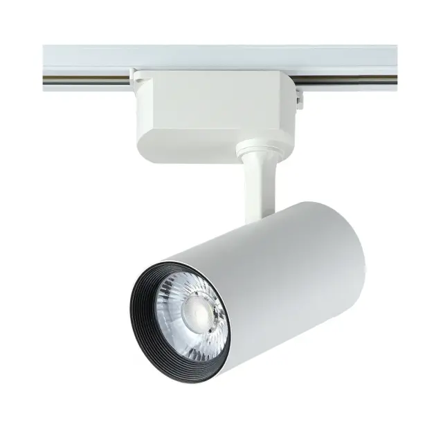 Светильник для однофазного шинопровода Crystal Lux CLT 0.31 006 20W WH — белый