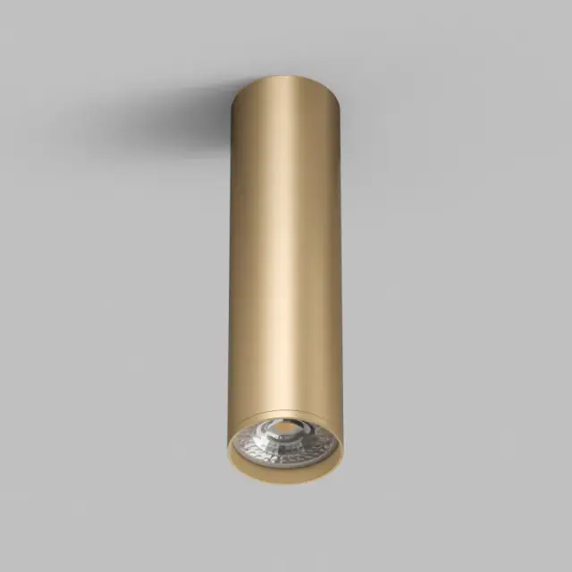 Точечный светильник Denkirs DK2052-SG TUBE | ТЬЮБ — золотой, ракурс 5