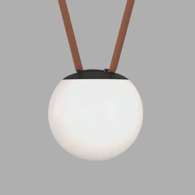 Трековый светильник Denkirs DK5550-BK BELTY ORB | БЕЛТИ ОРБ — черный